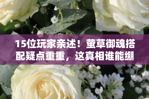 15位玩家亲述!萤草御魂搭配疑点重重,这真相谁能绷得住? 15位玩家亲述!萤草御魂搭配疑点重重,这真相谁能绷得住?