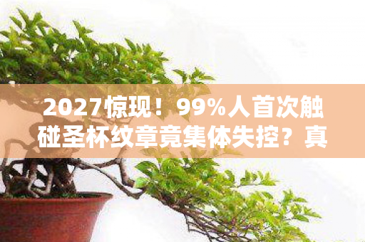 2027惊现!99%人首次触碰圣杯纹章竟集体失控?真相炸裂! 2027惊现!99%人首次触碰圣杯纹章竟集体失控?真相炸裂!