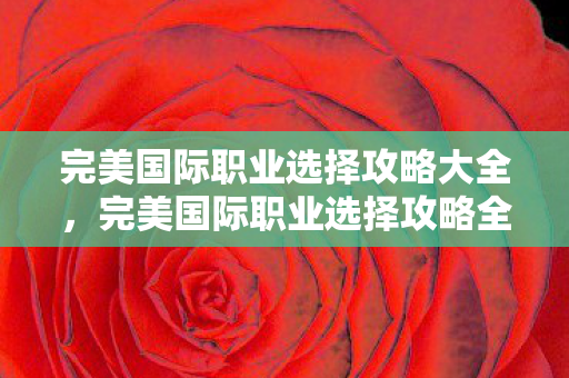 完美国际职业选择攻略大全,完美国际职业选择攻略全解析 完美国际职业选择攻略大全,完美国际职业选择攻略全解析