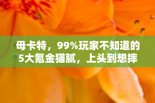 母卡特,99%玩家不知道的5大氪金猫腻,上头到想摔手机! 母卡特,99%玩家不知道的5大氪金猫腻,上头到想摔手机!