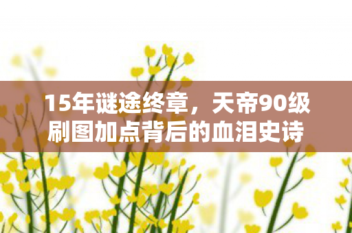 15年谜途终章,天帝90级刷图加点背后的血泪史诗 15年谜途终章,天帝90级刷图加点背后的血泪史诗