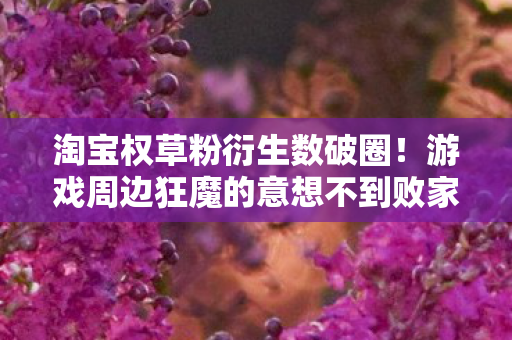 淘宝权草粉衍生数破圈！游戏周边狂魔的意想不到败家人生
