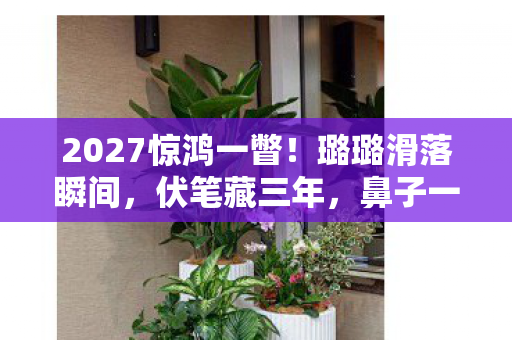 2027惊鸿一瞥!璐璐滑落瞬间,伏笔藏三年,鼻子一酸忆往昔 2027惊鸿一瞥!璐璐滑落瞬间,伏笔藏三年,鼻子一酸忆往昔