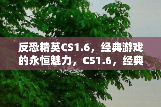 反恐精英CS1.6，经典游戏的永恒魅力，CS1.6，经典游戏的永恒魅力
