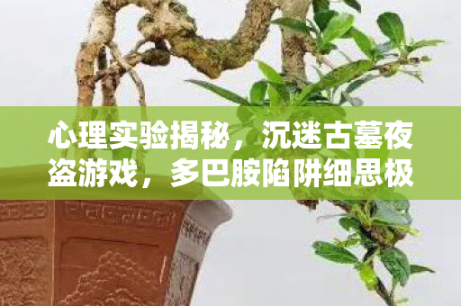 心理实验揭秘,沉迷古墓夜盗游戏,多巴胺陷阱细思极恐! 心理实验揭秘,沉迷古墓夜盗游戏,多巴胺陷阱细思极恐!