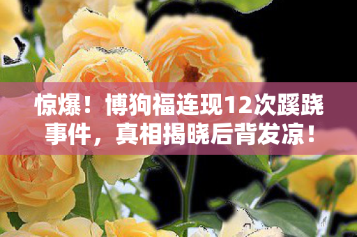 惊爆!博狗福连现12次蹊跷事件,真相揭晓后背发凉! 惊爆!博狗福连现12次蹊跷事件,真相揭晓后背发凉!