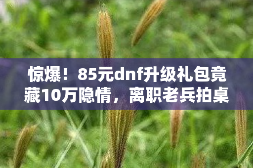 惊爆!85元dnf升级礼包竟藏10万隐情,离职老兵拍桌,这方案早该枪毙! 惊爆!85元dnf升级礼包竟藏10万隐情,离职老兵拍桌,这方案早该枪毙!