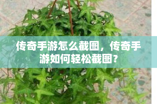 传奇手游如何轻松截图图片