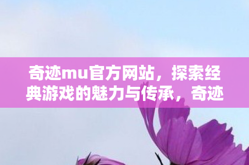 探索经典游戏的魅力与传承图片