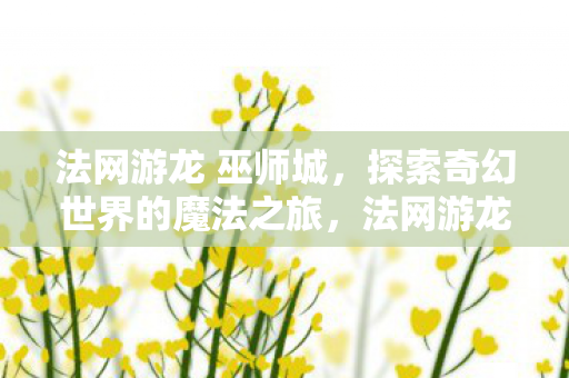 法网游龙 巫师城探索奇幻世界的魔法之旅图片