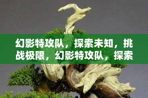 幻影特攻队图片