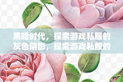 黑暗时代,探索游戏私服的灰色阴影,探索游戏私服的灰色阴影,黑暗时代的隐秘世界 黑暗时代,探索游戏私服的灰色阴影,探索游戏私服的灰色阴影,黑暗时代的隐秘世界