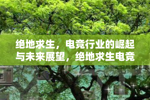 绝地求生,电竞行业的崛起与未来展望,绝地求生电竞行业的崛起与未来展望,挑战与机遇并存 绝地求生,电竞行业的崛起与未来展望,绝地求生电竞行业的崛起与未来展望,挑战与机遇并存