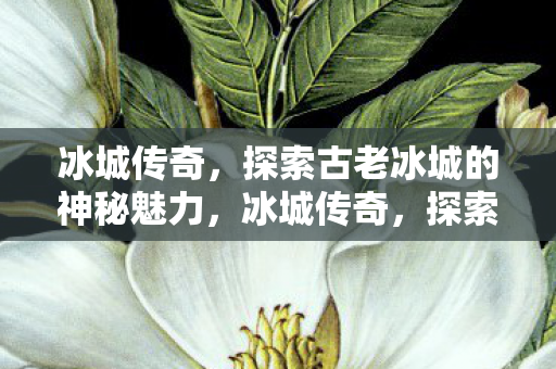 探索古老冰城的神秘魅力图片