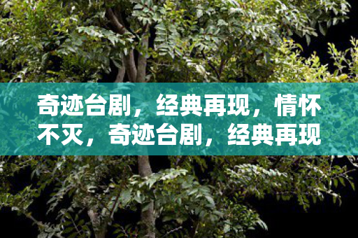 奇迹台剧图片