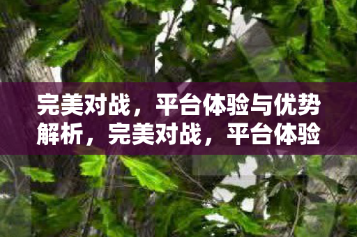 平台体验与优势全解析图片