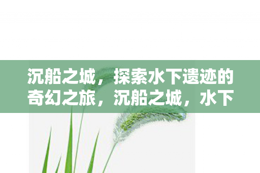 沉船之城,探索水下遗迹的奇幻之旅,沉船之城,水下遗迹的奇幻探索之旅 沉船之城,探索水下遗迹的奇幻之旅,沉船之城,水下遗迹的奇幻探索之旅