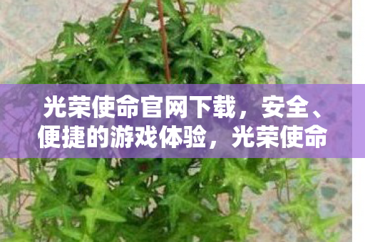 光荣使命官网下载,安全、便捷的游戏体验,光荣使命官网,安全、便捷的游戏下载体验 光荣使命官网下载,安全、便捷的游戏体验,光荣使命官网,安全、便捷的游戏下载体验