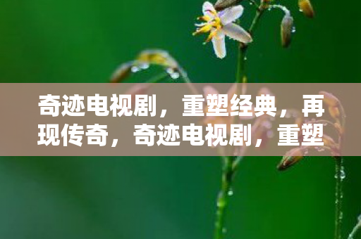 奇迹电视剧图片