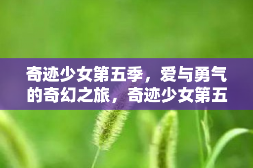 爱与勇气的奇幻之旅图片