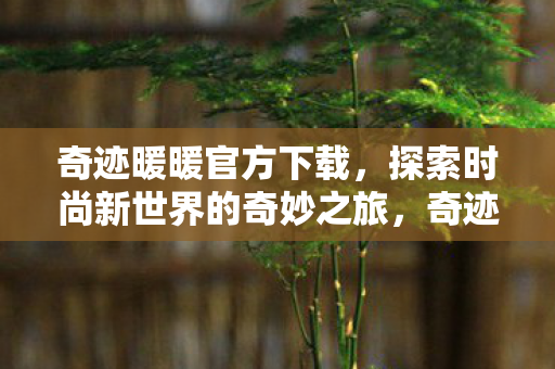 探索时尚新世界的奇妙之旅图片