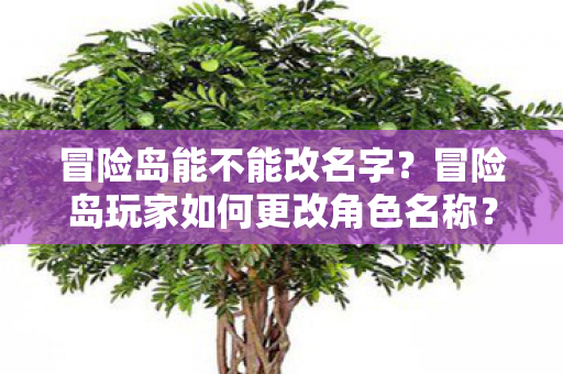 冒险岛能不能改名字?冒险岛玩家如何更改角色名称? 冒险岛能不能改名字?冒险岛玩家如何更改角色名称?