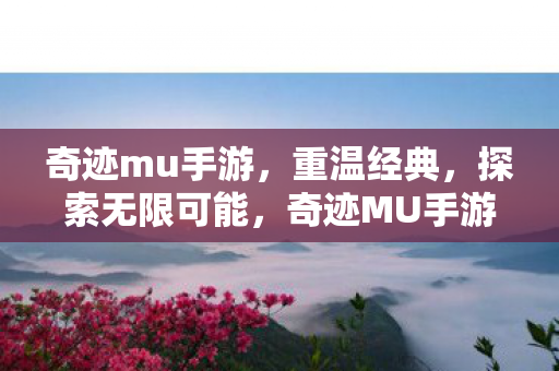 奇迹mu手游图片