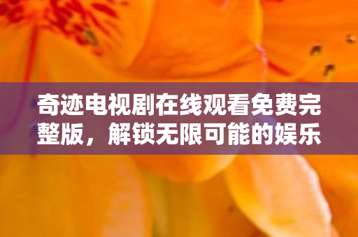 奇迹电视剧在线观看免费完整版图片
