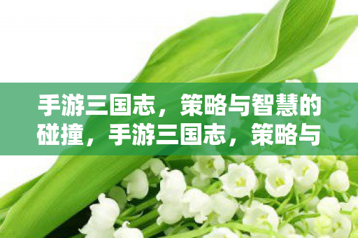 策略与智慧的碰撞图片