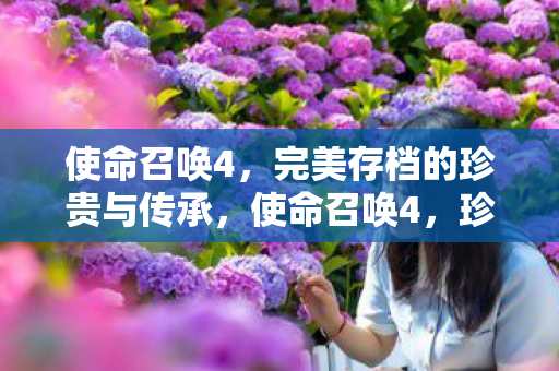 完美存档的珍贵与传承图片
