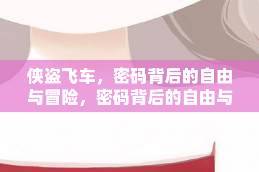 密码背后的自由与冒险图片