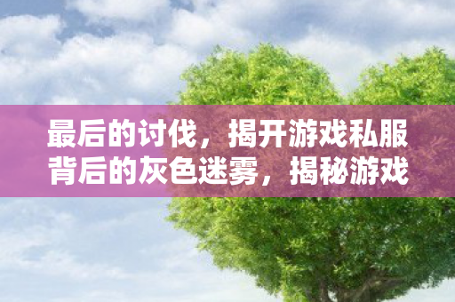 揭开游戏私服背后的灰色迷雾图片