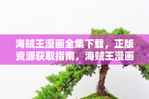 海贼王漫画全集下载指南图片