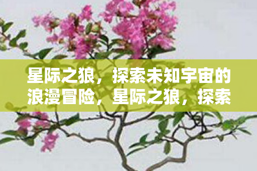 星际之狼,探索未知宇宙的浪漫冒险,星际之狼,探索宇宙浪漫冒险 星际之狼,探索未知宇宙的浪漫冒险,星际之狼,探索宇宙浪漫冒险