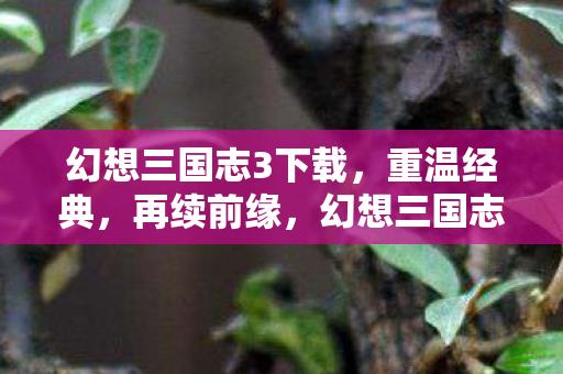 幻想三国志3下载图片