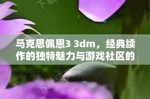 经典续作的独特魅力与游戏社区的互动体验图片