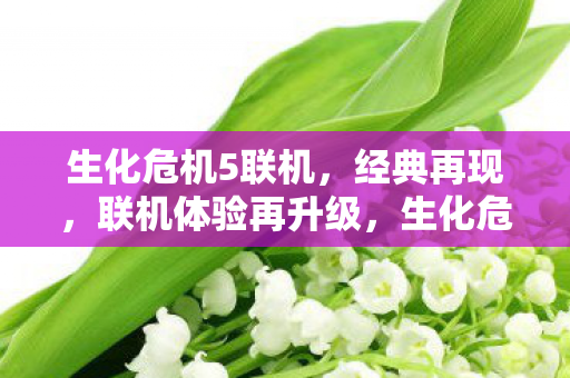 生化危机5联机模式再升级图片