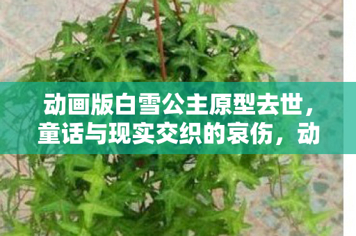 动画版白雪公主原型去世,童话与现实交织的哀伤,动画版白雪公主原型去世,童话世界失去白雪公主 动画版白雪公主原型去世,童话与现实交织的哀伤,动画版白雪公主原型去世,童话世界失去白雪公主