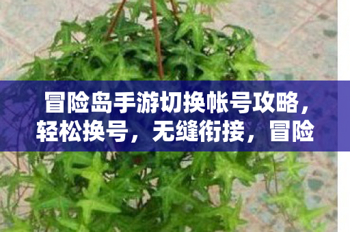 冒险岛手游切换帐号攻略,轻松换号,无缝衔接,冒险岛手游,如何轻松切换账号,实现无缝衔接 冒险岛手游切换帐号攻略,轻松换号,无缝衔接,冒险岛手游,如何轻松切换账号,实现无缝衔接