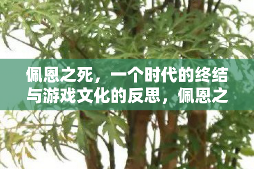 佩恩之死,一个时代的终结与游戏文化的反思,佩恩之死,一个时代的终结与游戏文化的反思 佩恩之死,一个时代的终结与游戏文化的反思,佩恩之死,一个时代的终结与游戏文化的反思