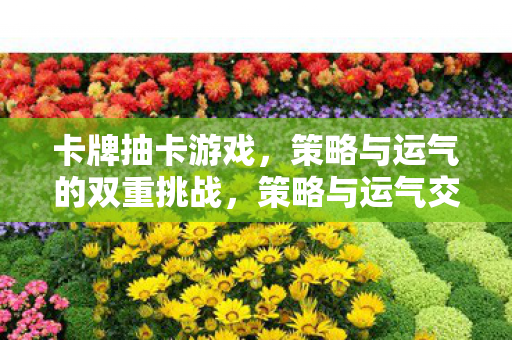 卡牌抽卡游戏,策略与运气的双重挑战,策略与运气交织,卡牌抽卡游戏的双重挑战 卡牌抽卡游戏,策略与运气的双重挑战,策略与运气交织,卡牌抽卡游戏的双重挑战