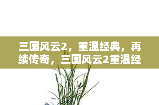 三国风云2,重温经典,再续传奇,三国风云2重温经典,再续传奇 三国风云2,重温经典,再续传奇,三国风云2重温经典,再续传奇