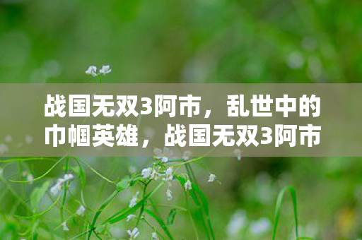 战国无双3阿市,乱世中的巾帼英雄,战国无双3阿市,乱世中的巾帼英雄 战国无双3阿市,乱世中的巾帼英雄,战国无双3阿市,乱世中的巾帼英雄