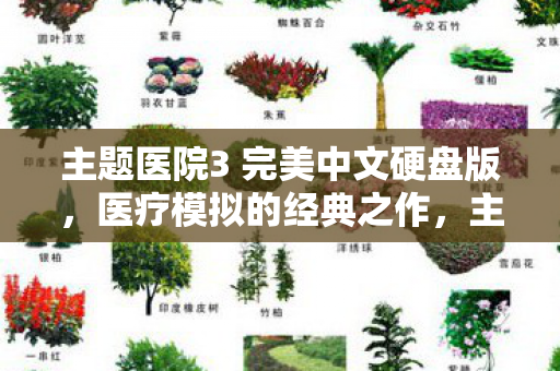 主题医院3 完美中文硬盘版,医疗模拟的经典之作,主题医院3完美中文硬盘版,医疗模拟经典再现 主题医院3 完美中文硬盘版,医疗模拟的经典之作,主题医院3完美中文硬盘版,医疗模拟经典再现
