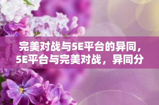 完美对战与5E平台的异同图片