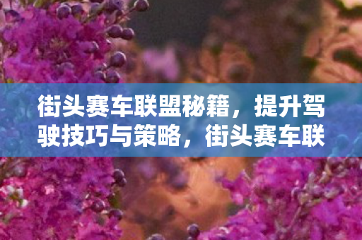 街头赛车联盟秘籍,提升驾驶技巧与策略,街头赛车联盟,提升驾驶技巧与策略的秘籍 街头赛车联盟秘籍,提升驾驶技巧与策略,街头赛车联盟,提升驾驶技巧与策略的秘籍