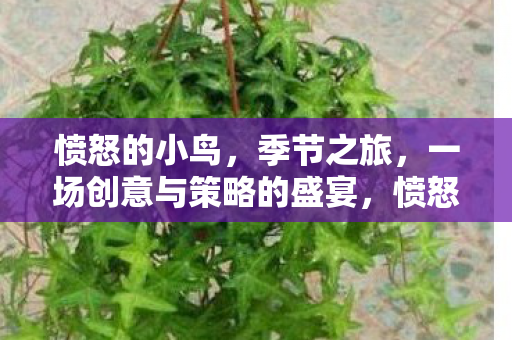愤怒的小鸟,季节之旅,一场创意与策略的盛宴,愤怒的小鸟,季节之旅创意与策略并重的冒险盛宴 愤怒的小鸟,季节之旅,一场创意与策略的盛宴,愤怒的小鸟,季节之旅创意与策略并重的冒险盛宴
