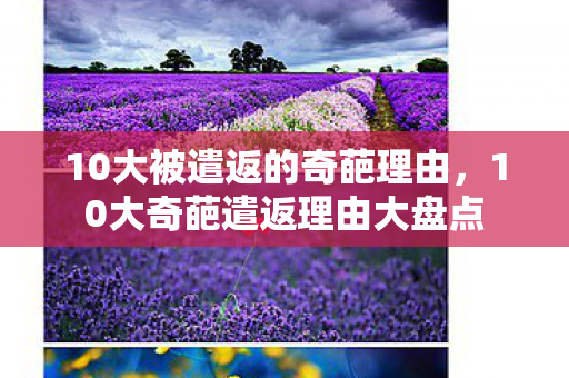 10大被遣返的奇葩理由,10大奇葩遣返理由大盘点 10大被遣返的奇葩理由,10大奇葩遣返理由大盘点