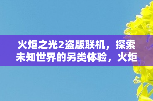 火炬之光2盗版联机,探索未知世界的另类体验,火炬之光2盗版联机,探索未知世界的另类体验 火炬之光2盗版联机,探索未知世界的另类体验,火炬之光2盗版联机,探索未知世界的另类体验