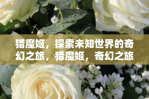 猎魔姬,探索未知世界的奇幻之旅,猎魔姬,奇幻之旅探索未知世界 猎魔姬,探索未知世界的奇幻之旅,猎魔姬,奇幻之旅探索未知世界